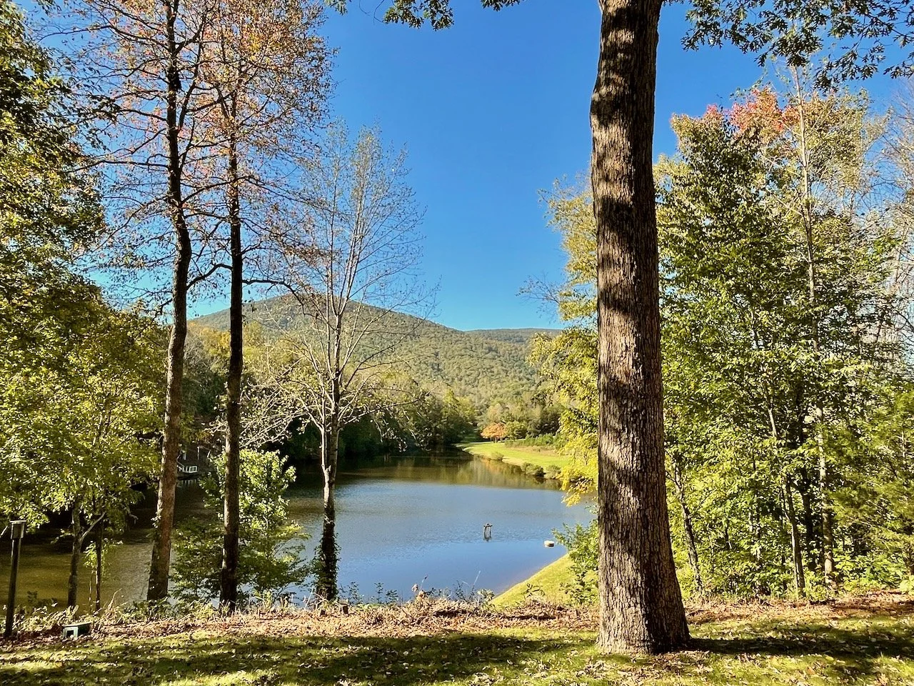 A peaceful lake scene surrounded by trees with green and some autumn-colored leaves, hillside in the background, clear blue sky overhead.