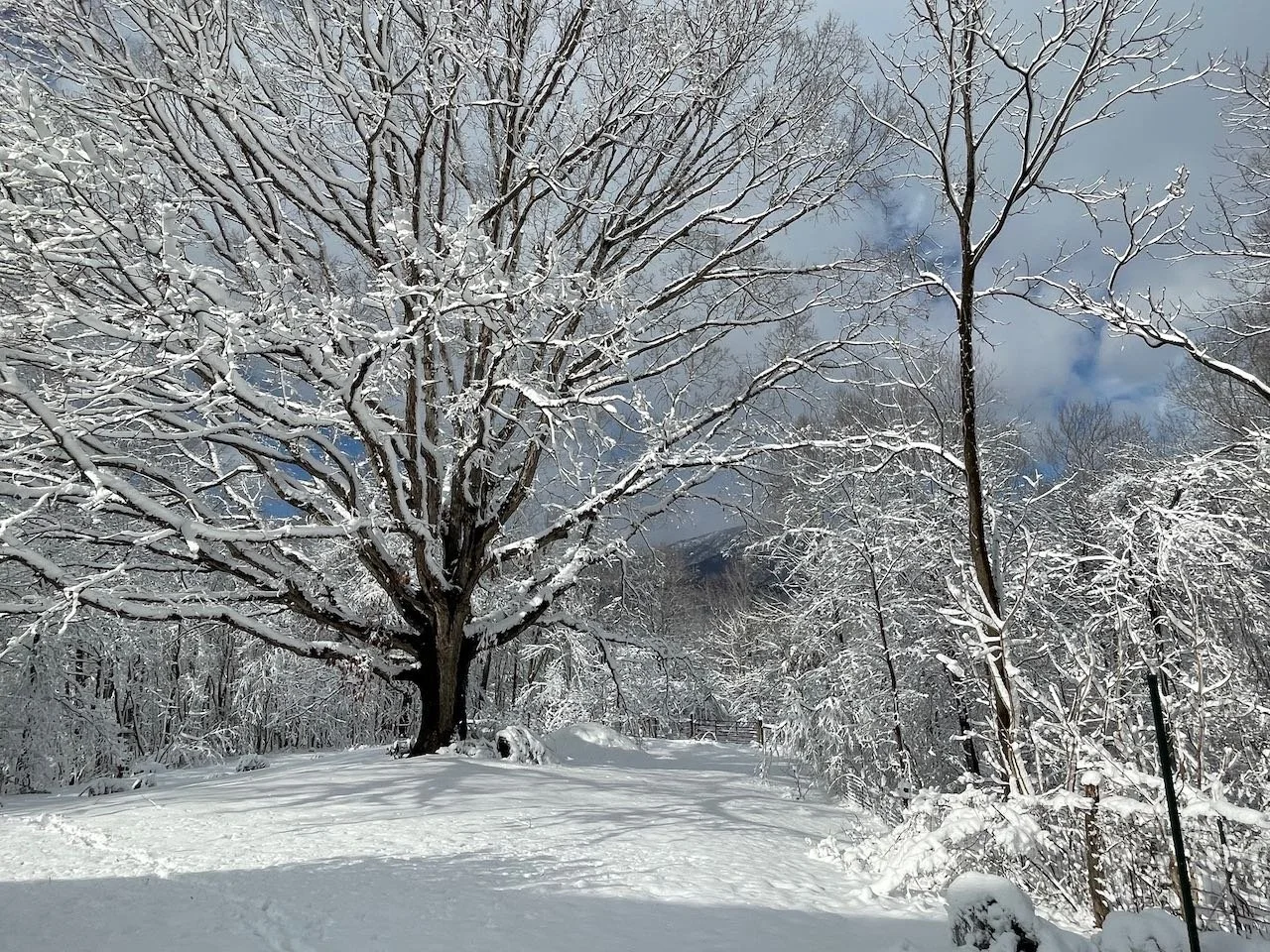 How To Cancel a Airbnb Reservation Without Penalty in Bad Weather