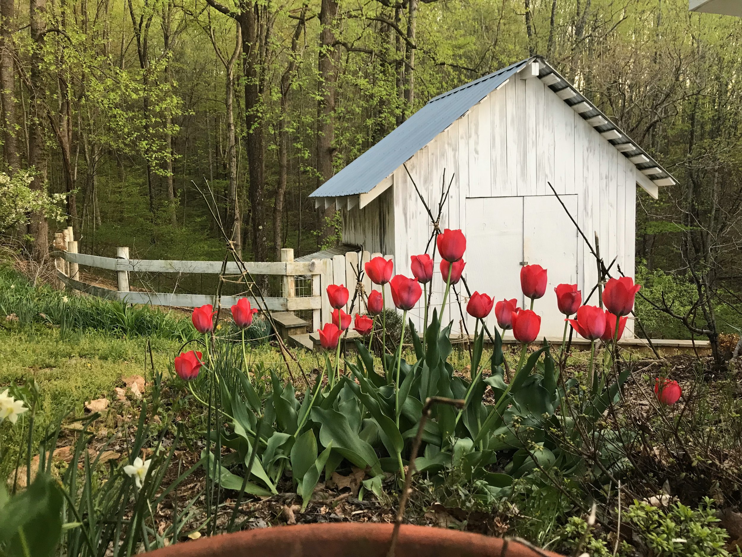 How I became an Airbnb host