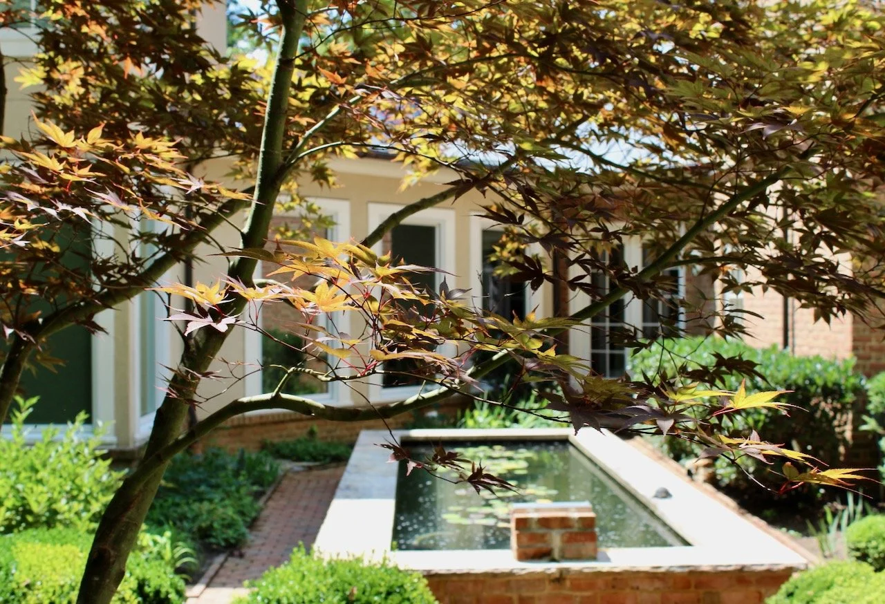 View of a garden with a small pond, lush greenery, and a house in the background, partially obscured by tree branches.