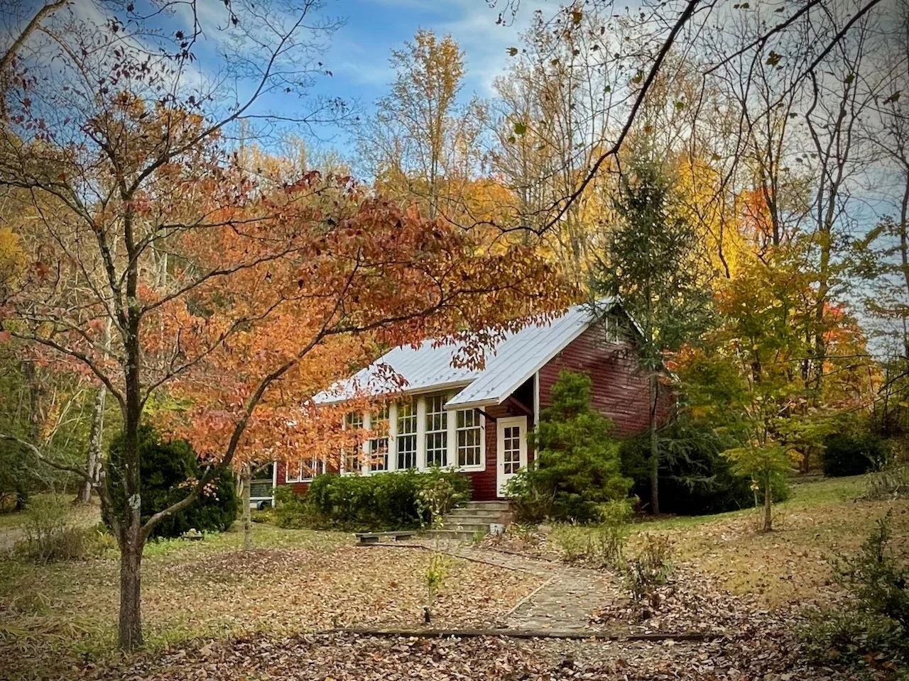 A red house with a metal roof surrounded by trees with autumn foliage, and a leaf-covered yard and pathway.