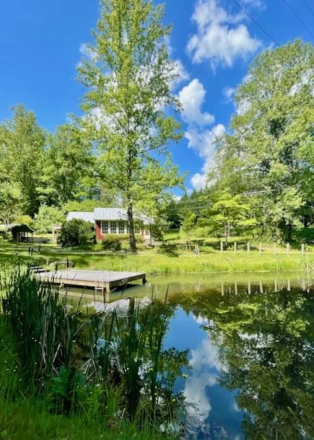 A serene scene of a pond with clear reflection of trees and blue sky, a small dock extending into the water, surrounded by lush green trees and a house in the background.