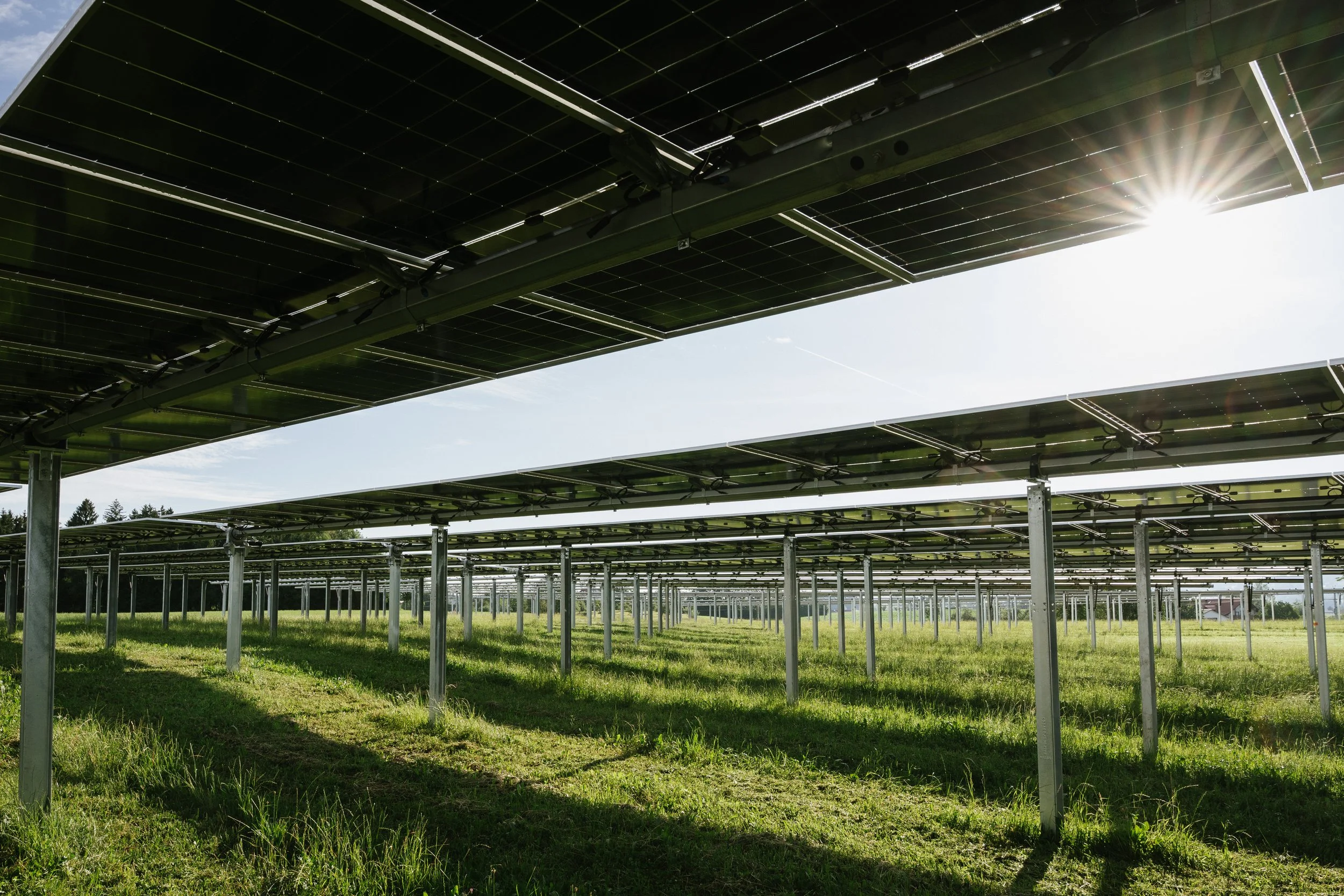 Agri-PV braucht tragfähige Geschäftsmodelle