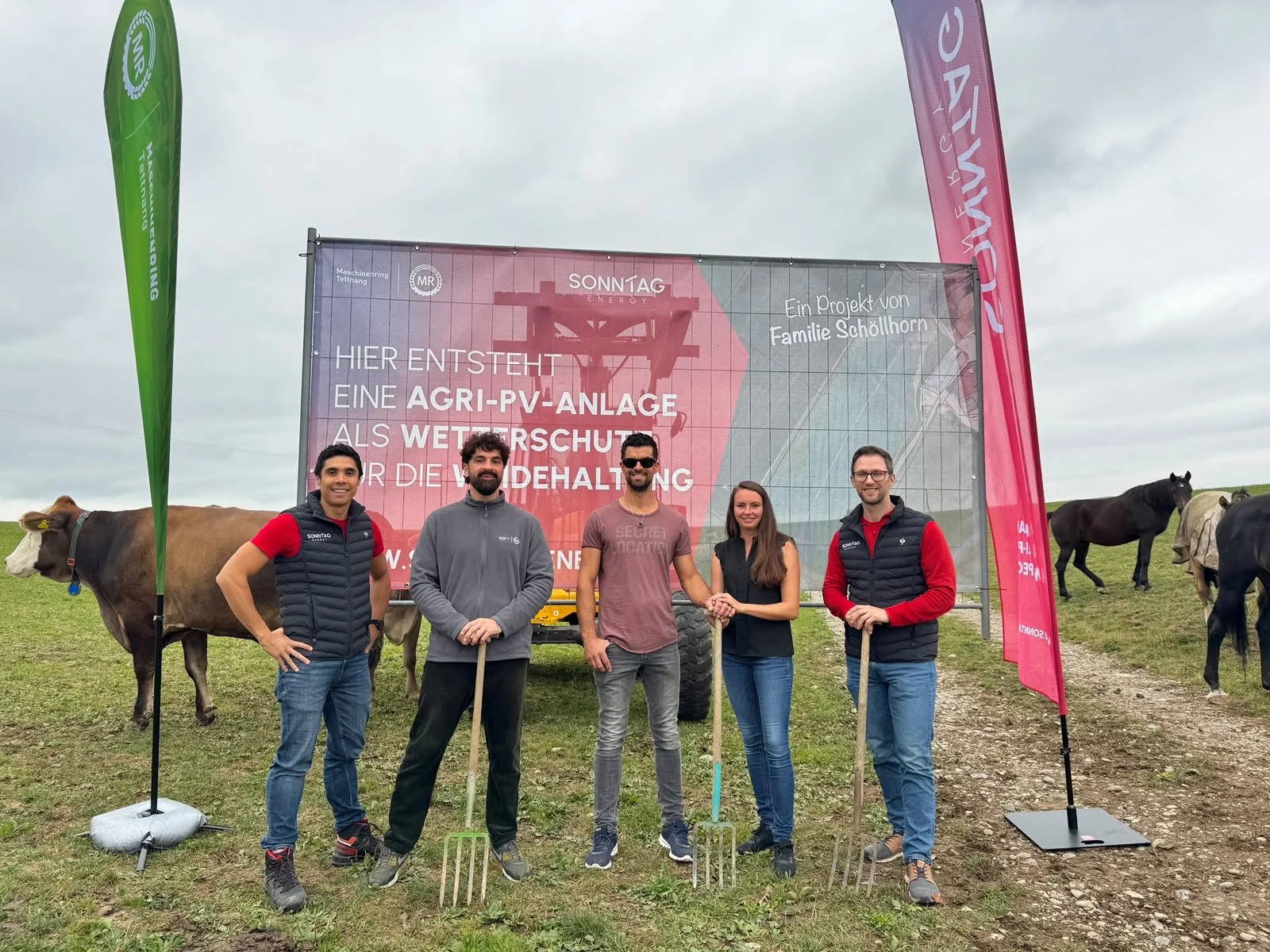 Spatenstich für Agri-PV über Kuhweide in Haslach
