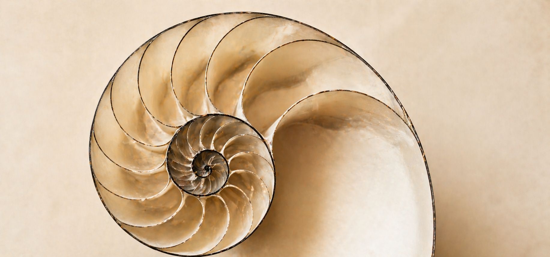 Compounding Wins: Website Marketing Excellence at Linnworks