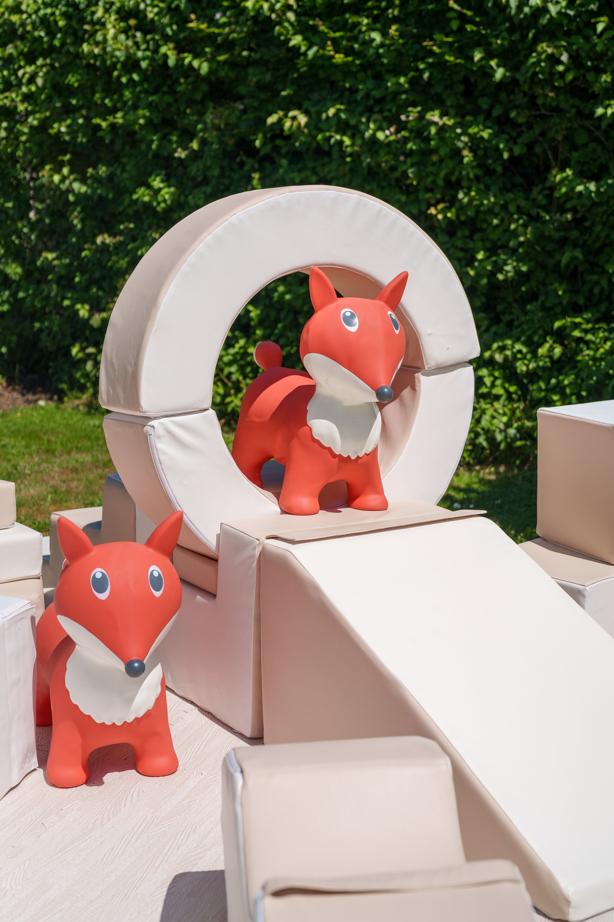 Grumpy Fox -  Hester Barnes Photography (102 of 246).jpg