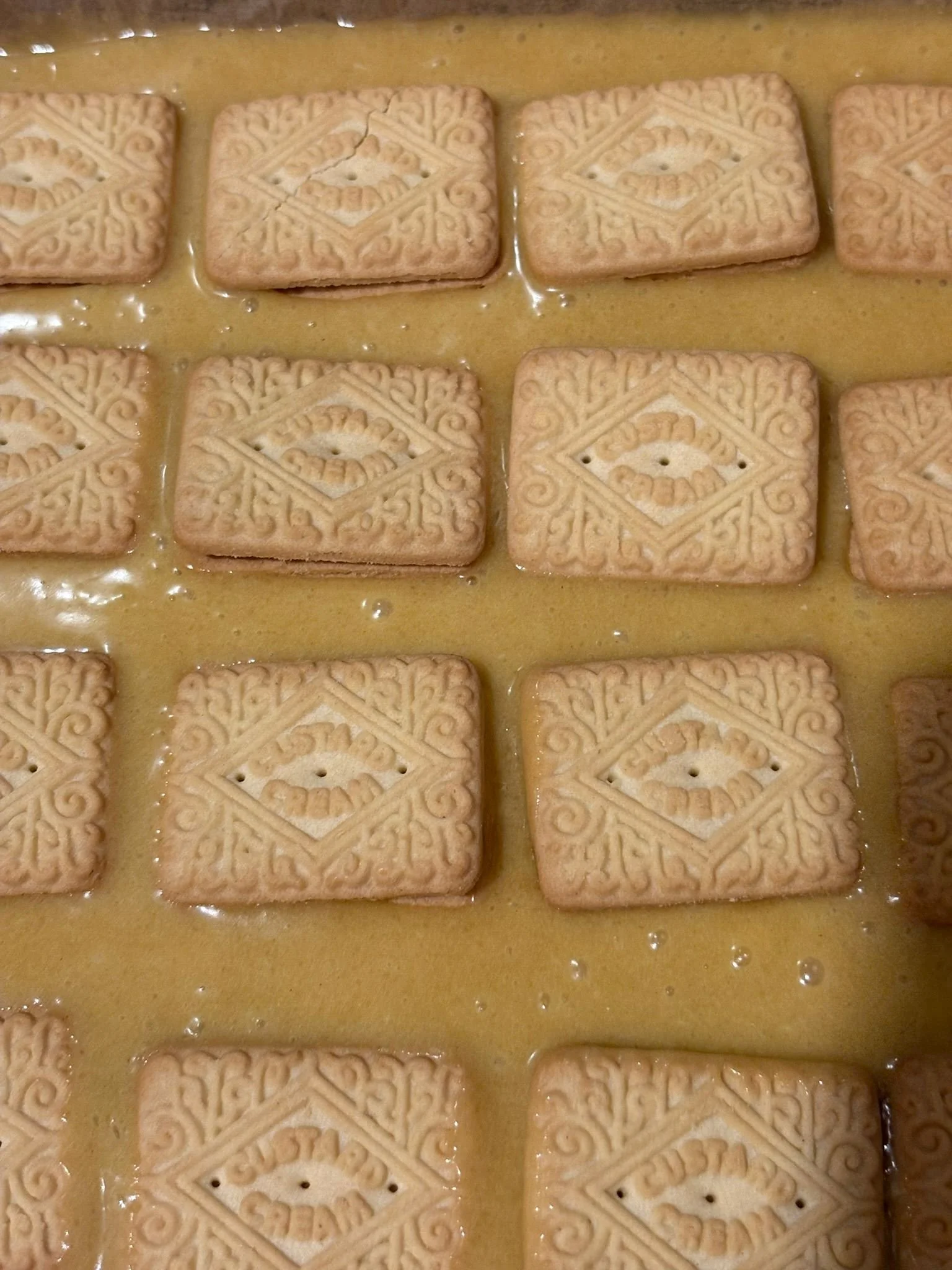 WhatsApp Image 2026-01-23 at 19.55.56 (6).jpeg