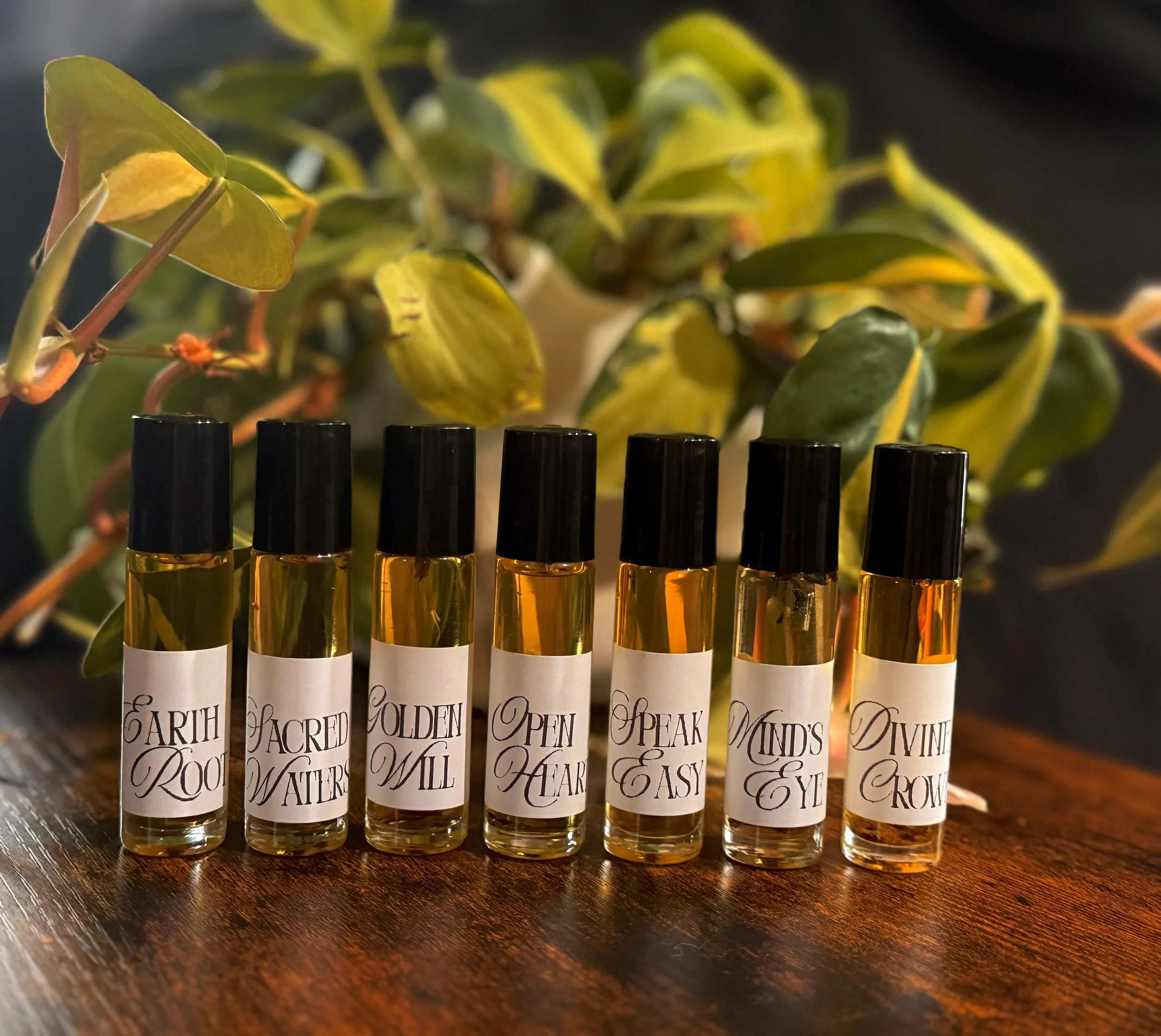 Seven Chakra Ritual  Oil Kit