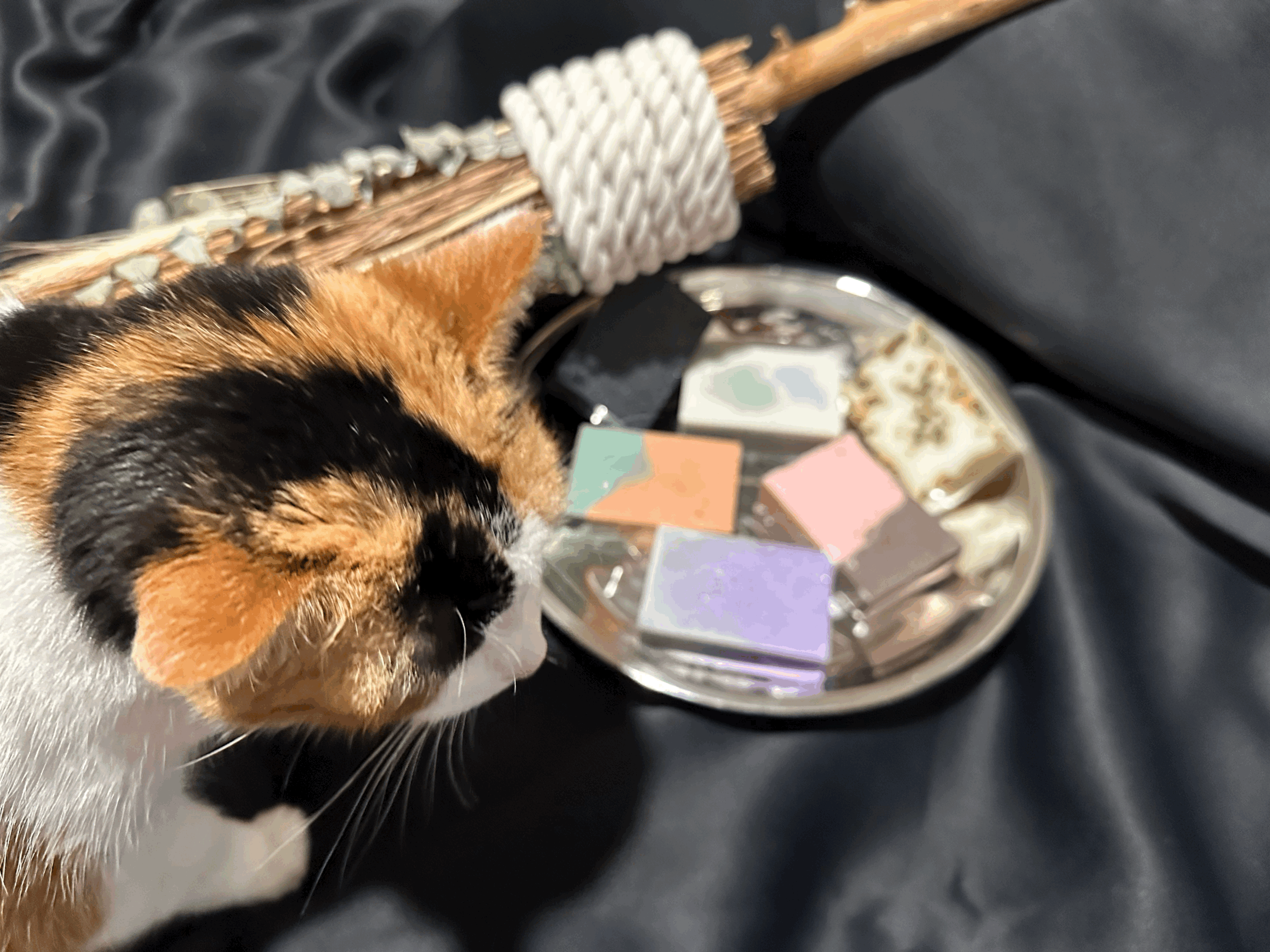 Witch Sisters: Practical Magic Inspired Soap Collection
