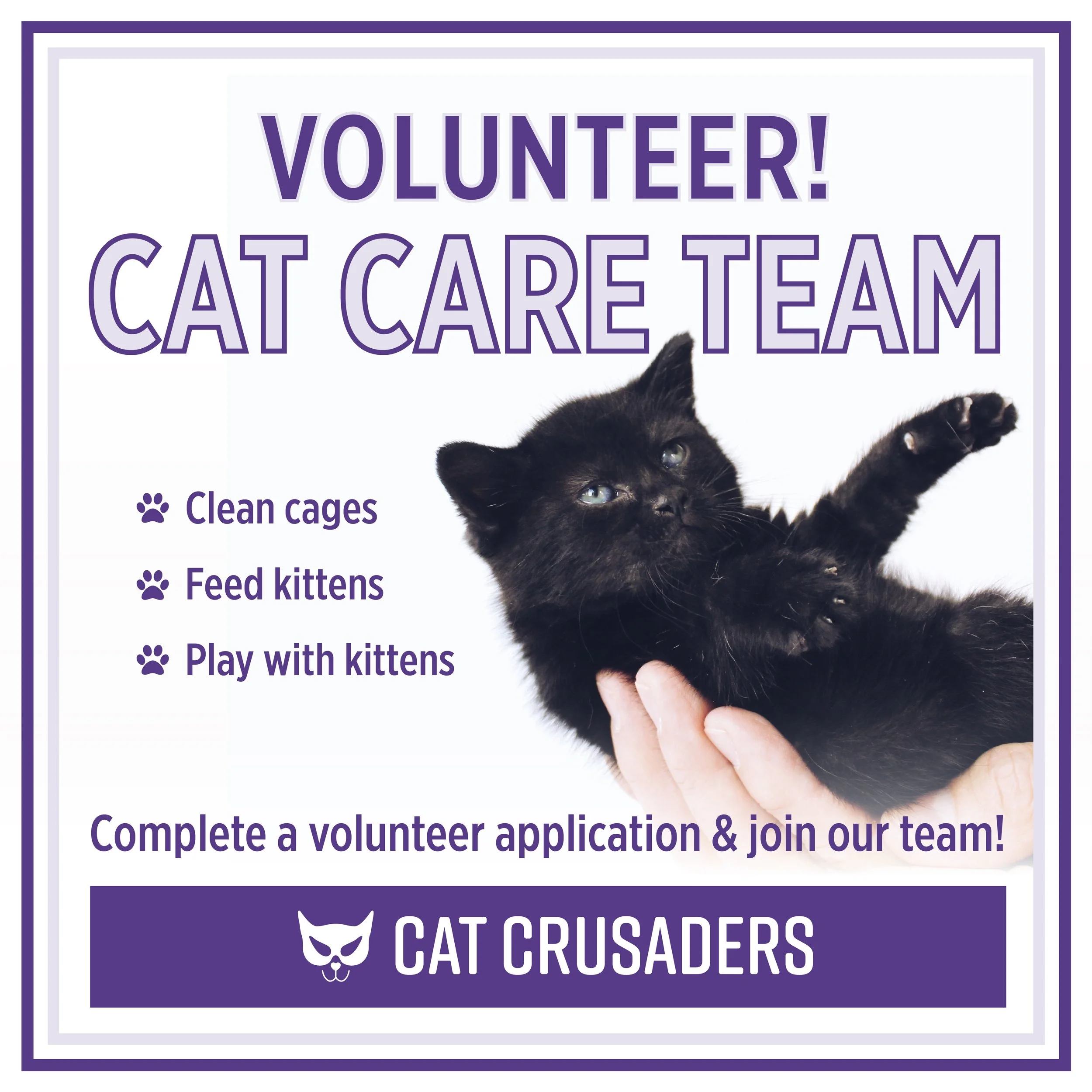 CatCrusaders_VolunteersWanted-02.jpg