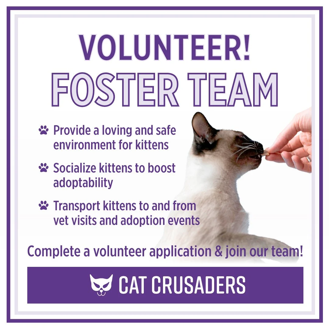 CatCrusaders_VolunteersWanted-04.jpg