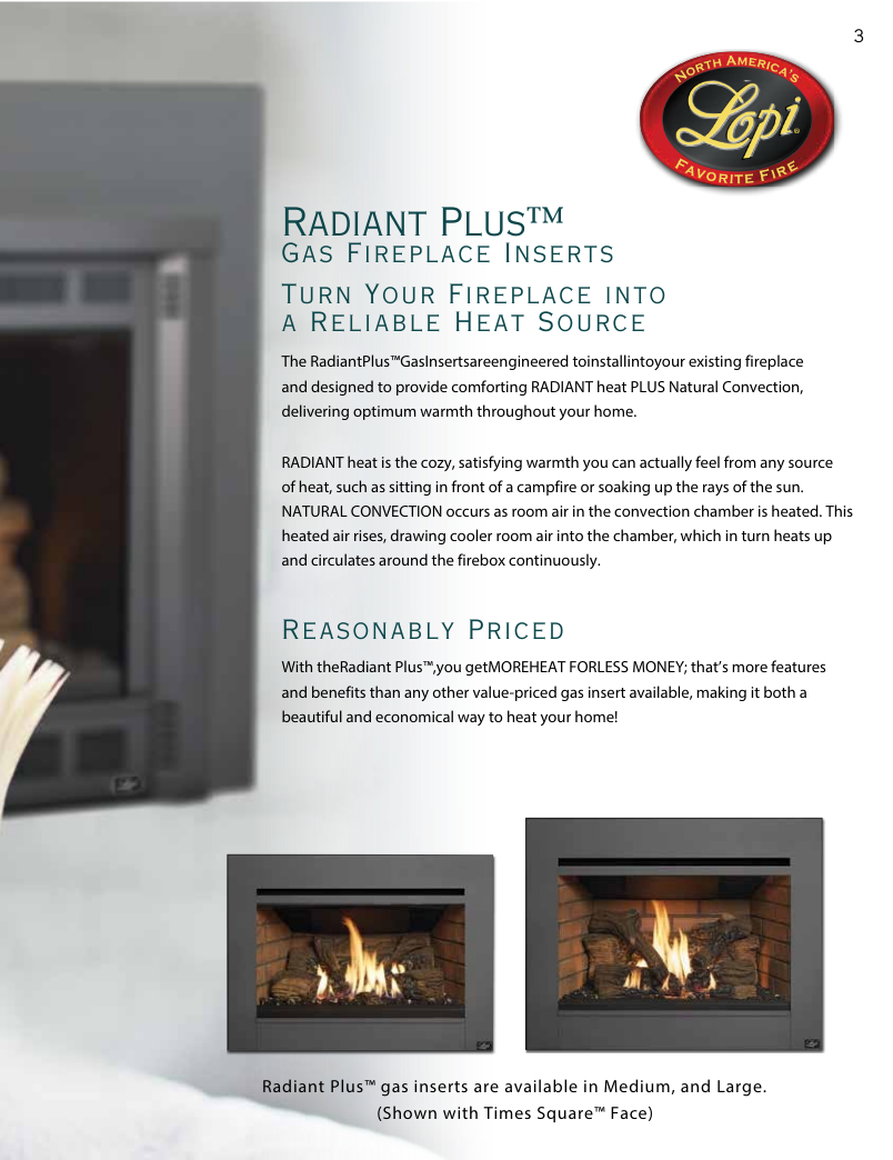 specifications and option of a gas fireplace