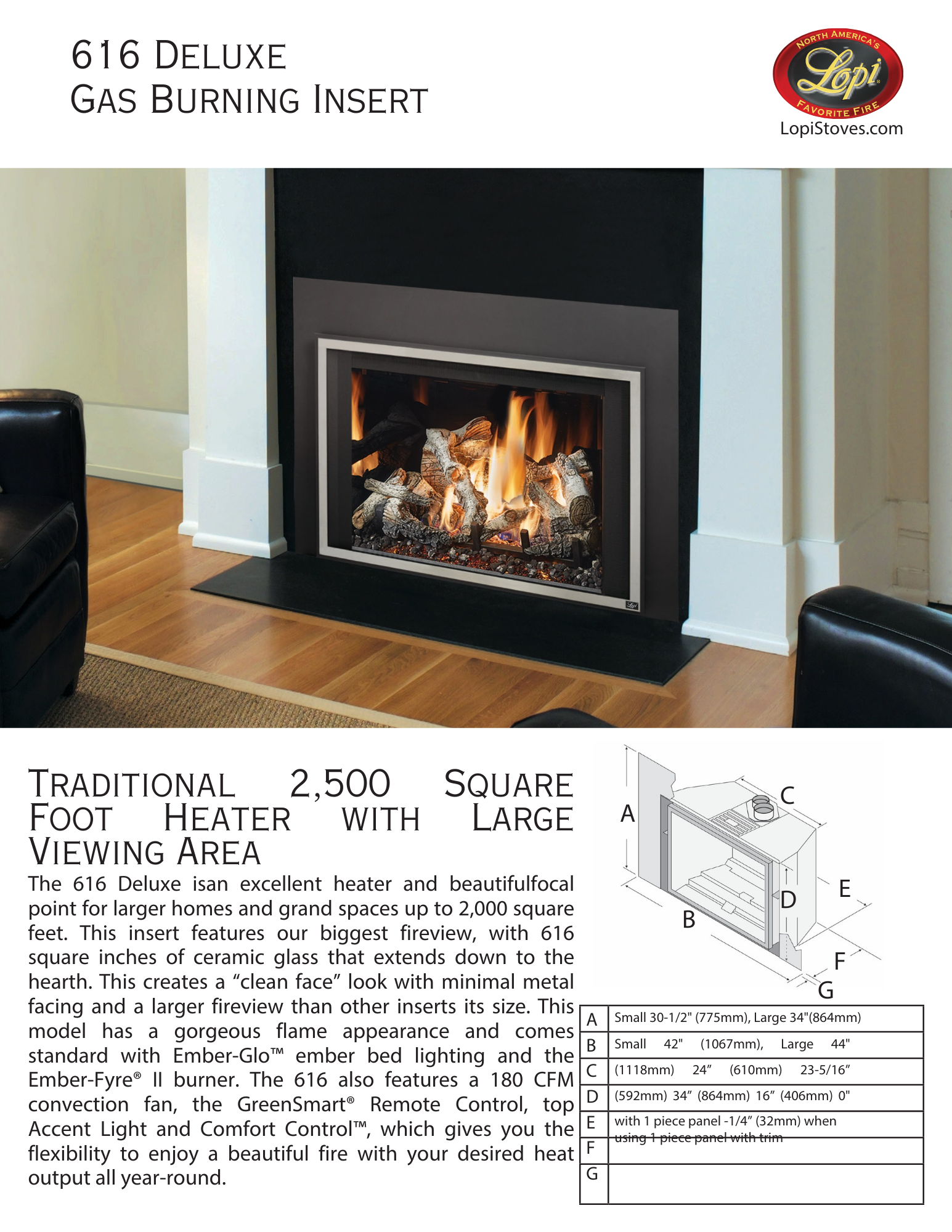 modern gas insert in living room with description of the heater underneath the pic