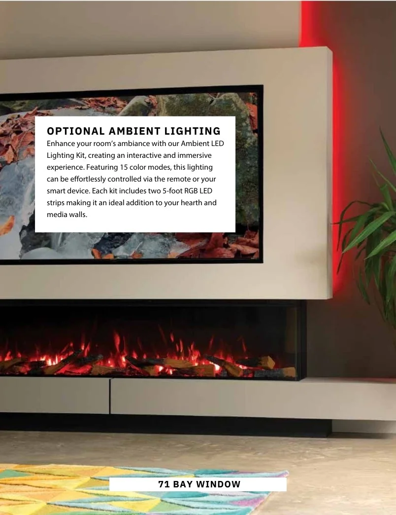 Electric fireplace with description