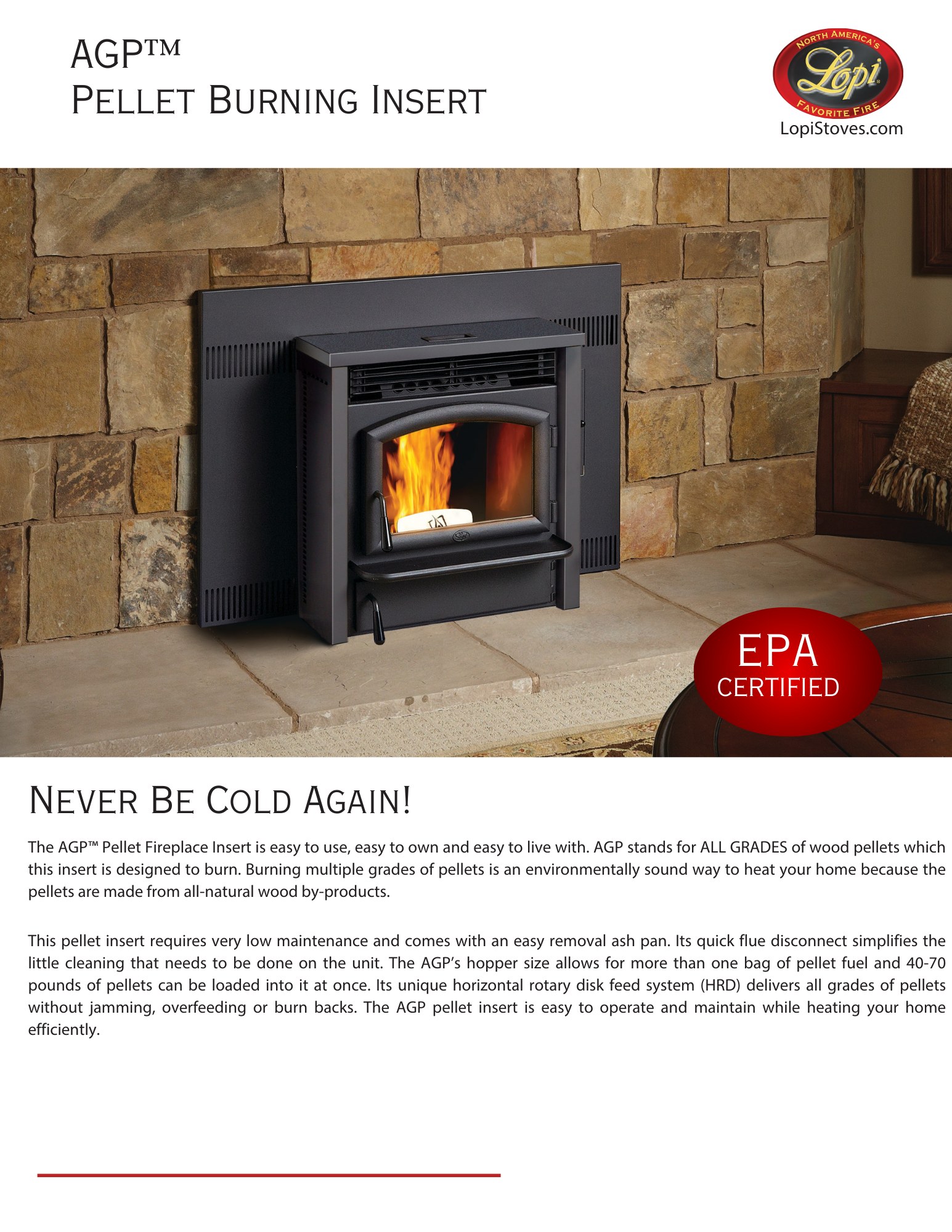 pellet insert inside an existing rock fireplace with writing describing the fireplace