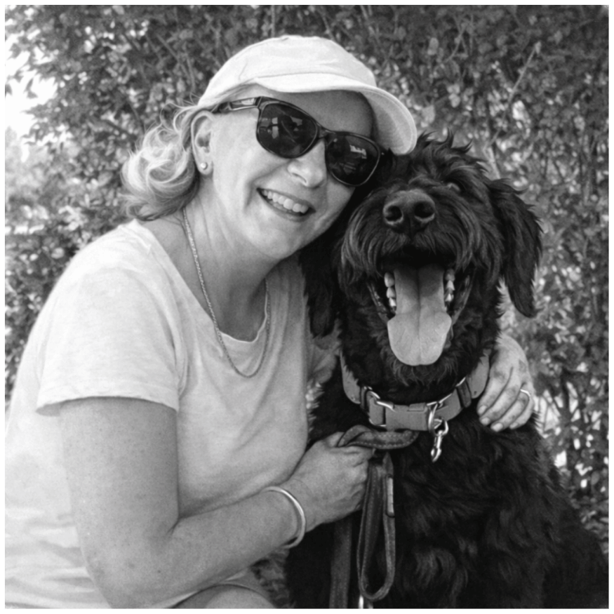 Big Bears Treehouse Trauma Support Counselling Play Therapy Gold Coast Northern NSW South East Queensland