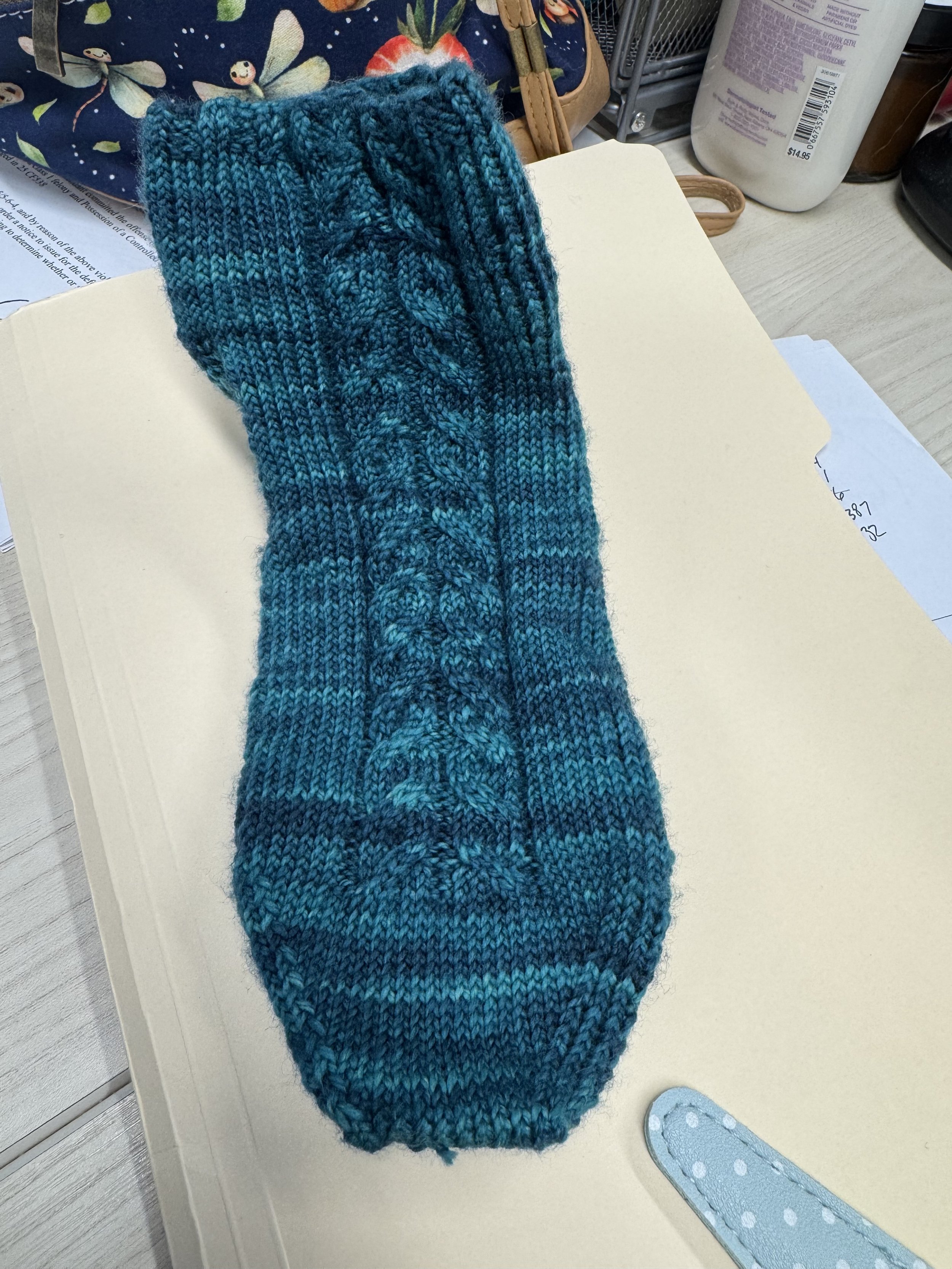Some day I'll finish knitting the other sock...