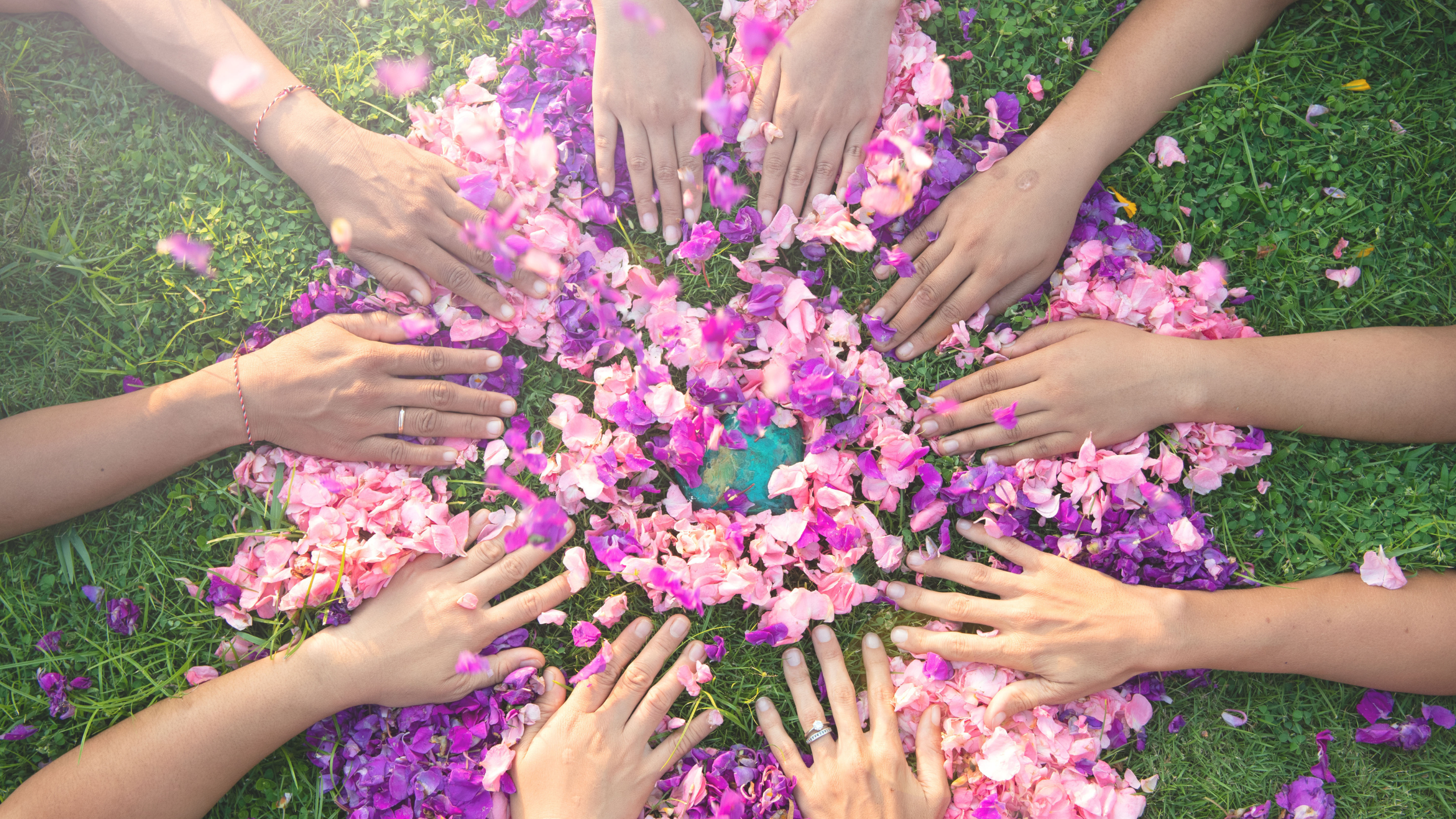 Diverse hands reaching out over a circle of flower petals symbolizing community