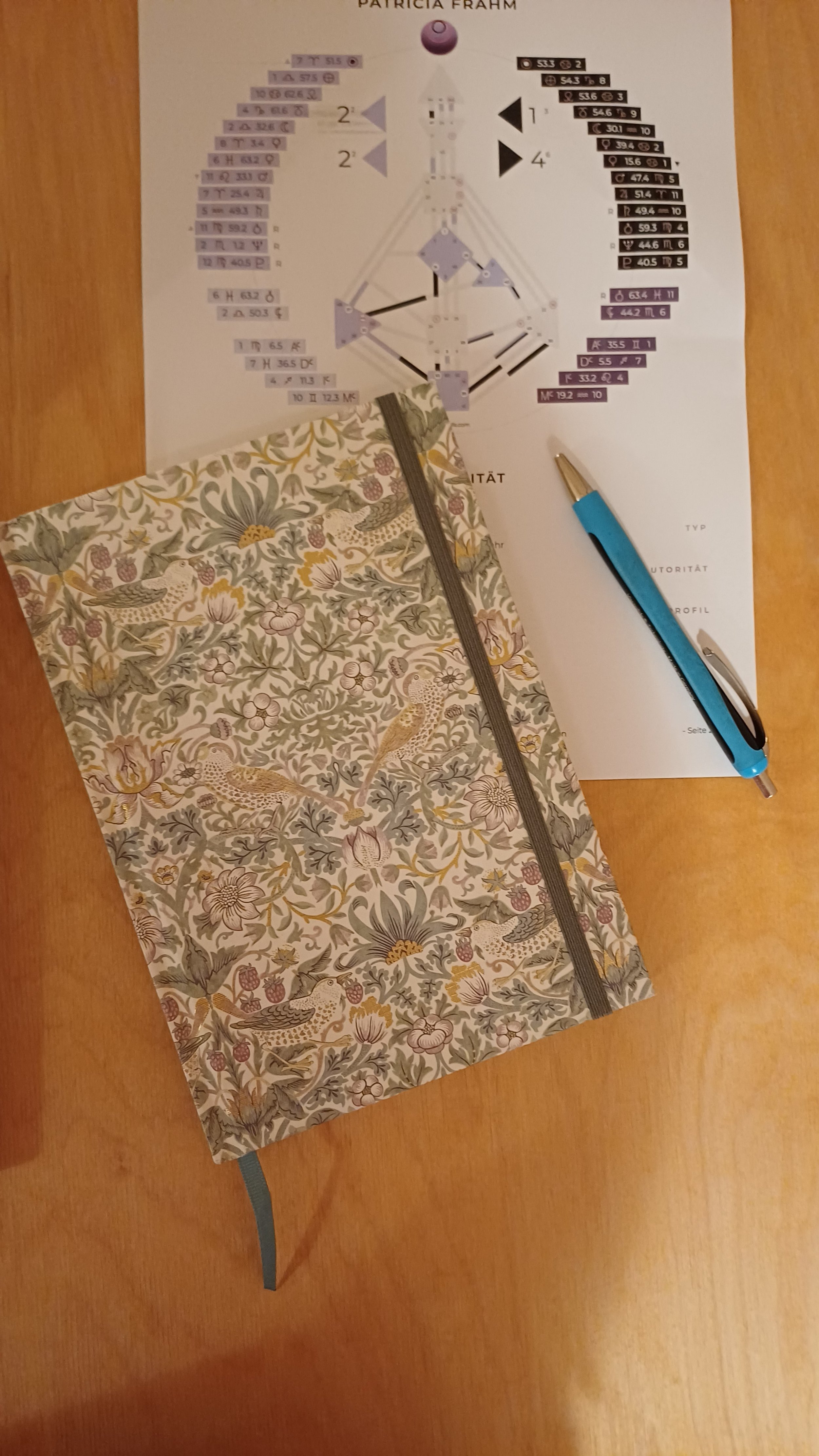 Auf einem Tisch liegt ein geprägtes Notizbuch mit Vogel- und Blumenmuster, ein blauer Kugelschreiber und ein Wasserfahrplan.