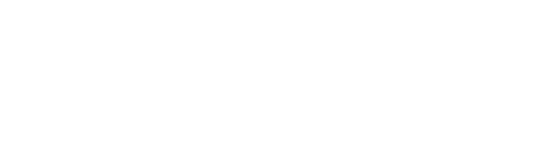 Wild Lens - logo white.png