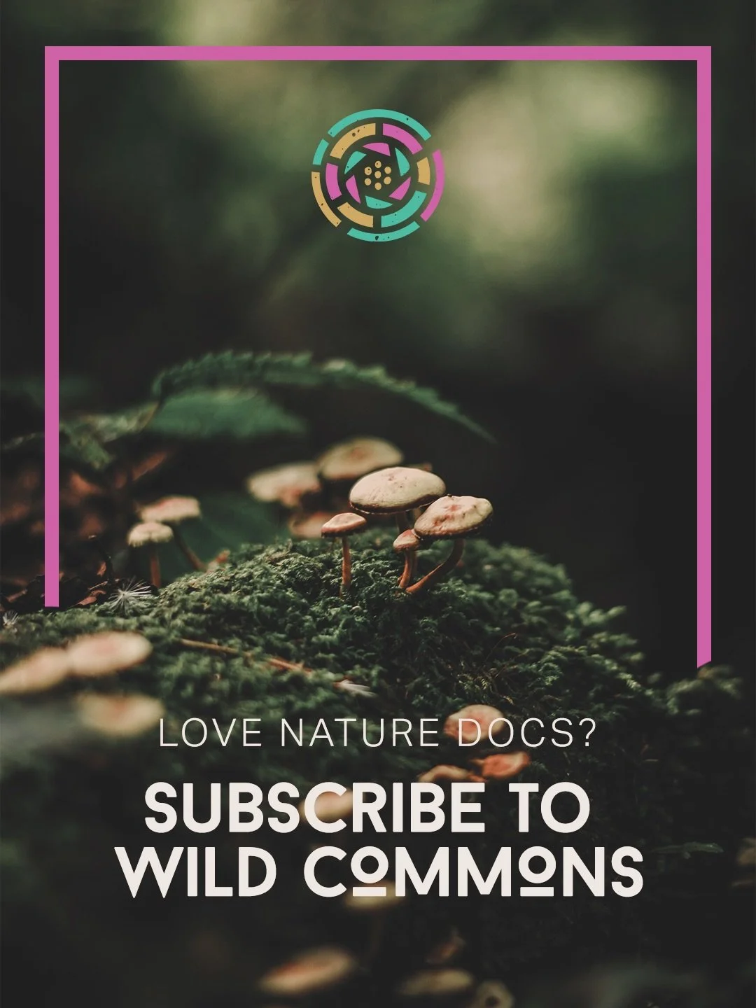 Currently building our film lineup 🤫

#wildcommons #naturedocumentary #film #scicomm #sciart