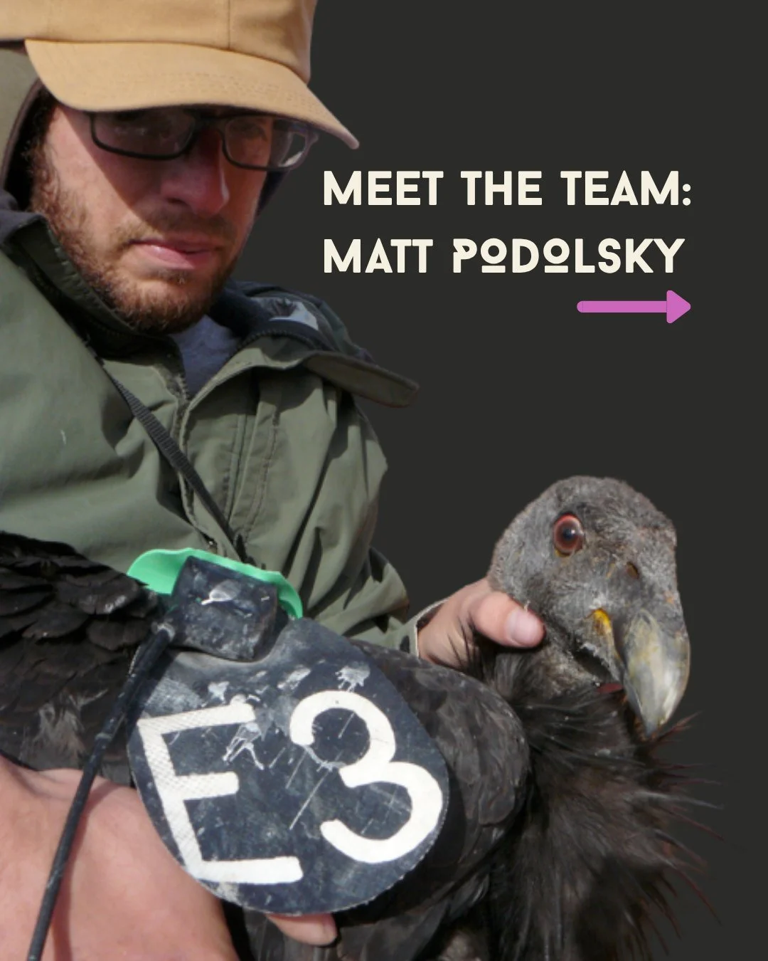 The indie doc world has changed, and not for the better. 🎬

Meet Matt Podolsky, co-founder of @wildlensinc and Wild Commons, and wildlife filmmaker of 18+ years. From banding California condors to premiering at @sundanceorg Festival, his story is on