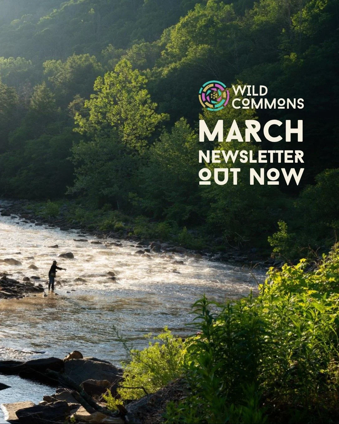 The March newsletter is out now!

Issue 01 shares bonus content from March's film Hellbent @hellbentthefilm - a film about a half-metre-long giant salamander that's survived 160 million years on Earth, a rural Pennsylvania community fighting to prote