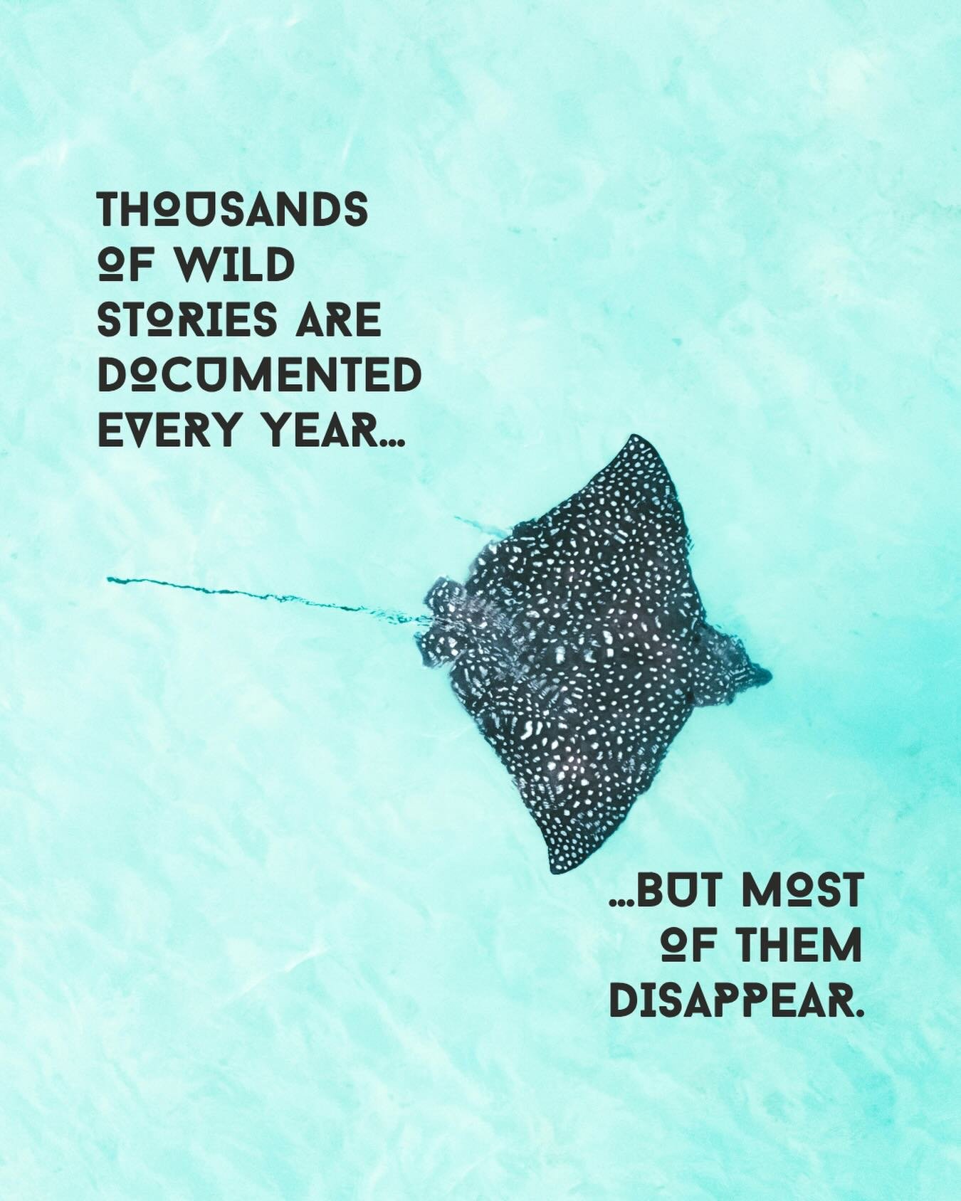 Thousands of wild stories are documented every year. Most of them never find an audience.

It&rsquo;s not a talent problem. It&rsquo;s not a story problem. It&rsquo;s a distribution problem.

Without the backing of a major studio or broadcaster, inde