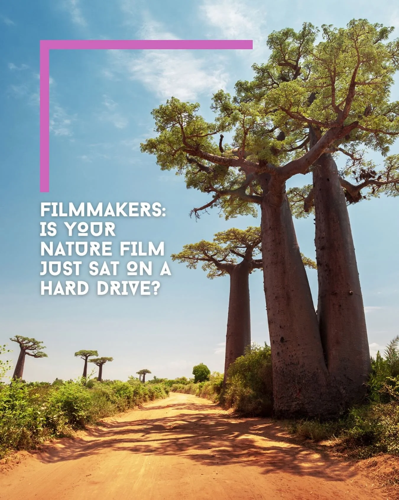 Hey, you, filmmaker! 📽️

Is there a nature film you worked your *ss off to make that&rsquo;s currently sat on a hard drive?

Maybe it had a great festival run, then the very broken distribution system meant that audiences haven&rsquo;t seen it since