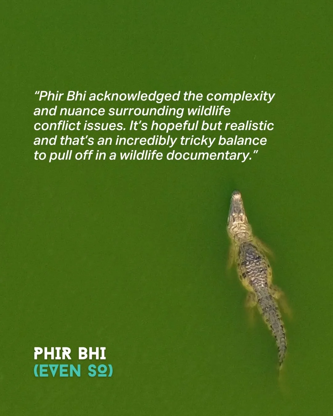 📽️ Months before we contacted @meghna_n96 about featuring Phir Bhi on Wild Commons, our Co-Founder Matt @wildlensinc had seen the film at a short film showcase at @wildlifefilmfest IWFF. He loved the film instantly, saying &lsquo;It&rsquo;s hopeful,