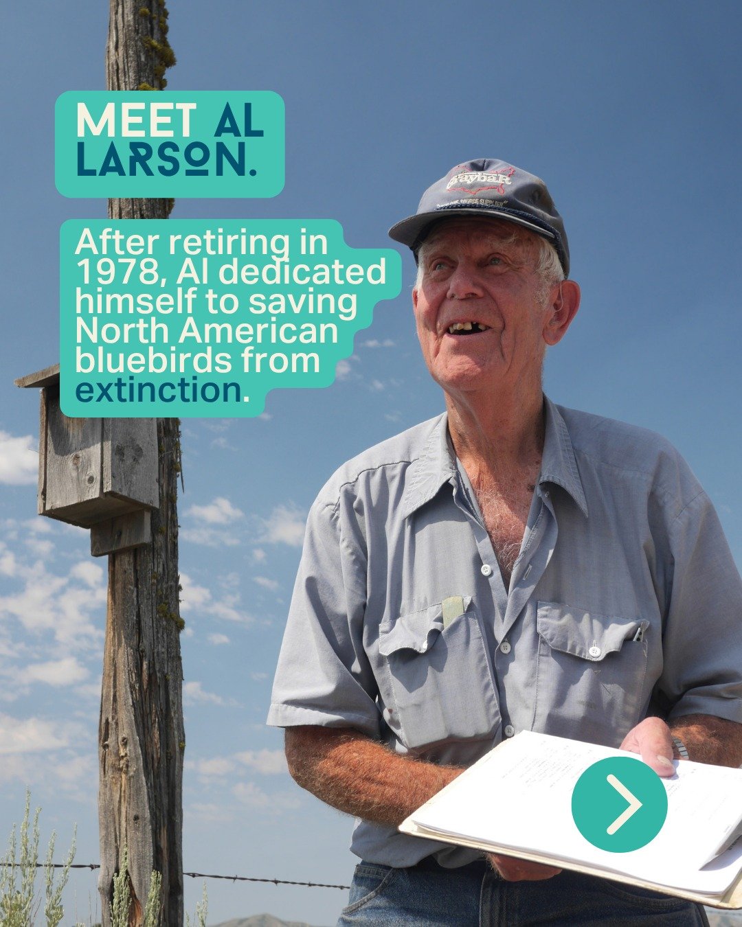 Meet Al Larson. 🐦

After retiring in 1978 Al got straight back to work, building nest boxes for bluebirds in Idaho's Owyhee Mountains.

For the rest of his life, hee never stopped.

For 40 years, Al built, monitored, and maintained 300 nest boxes ac