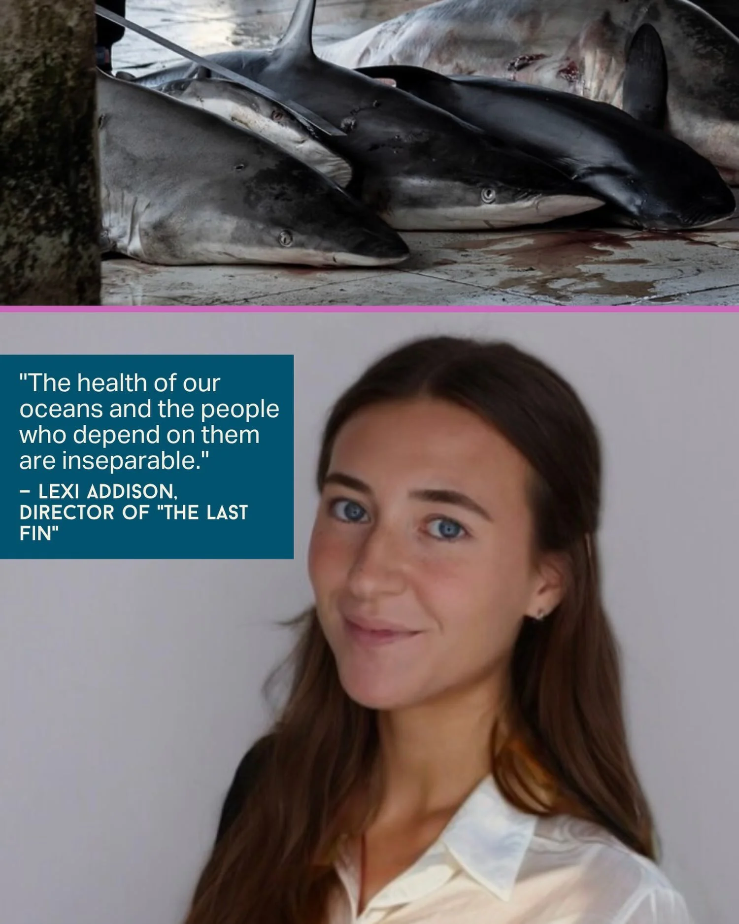 No formal training. Just a camera, a community in Tanjung Luar, Indonesia, and a story she believed needed telling.

Meet Lexi Addison @oceangirllex, director of &ldquo;The Last Fin,&rdquo; now streaming on our YouTube channel.

The film follows a co