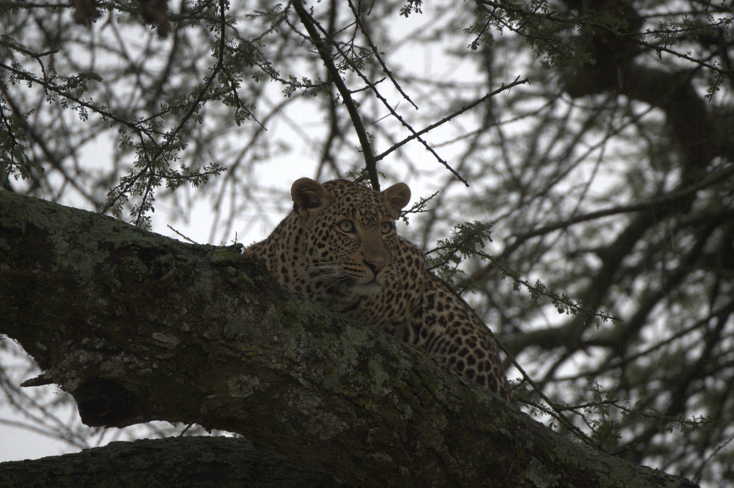 DSC_2048.jpg