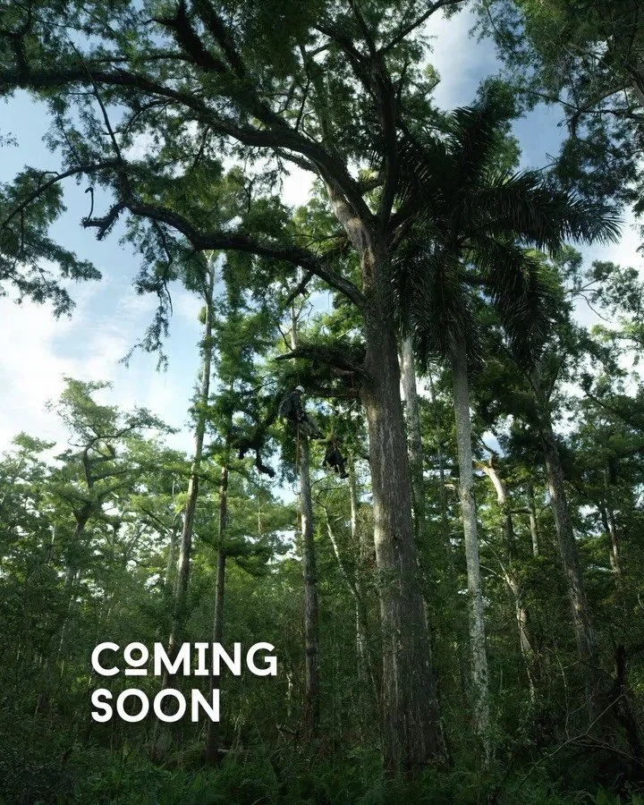 We&rsquo;re so excited for next week&rsquo;s release, and you should be too! We thought&nbsp;we&rsquo;d share a teaser to show you just a few of the stunning species the film features, and the feats the&nbsp;filmmakers had to overcome to get them!&nb