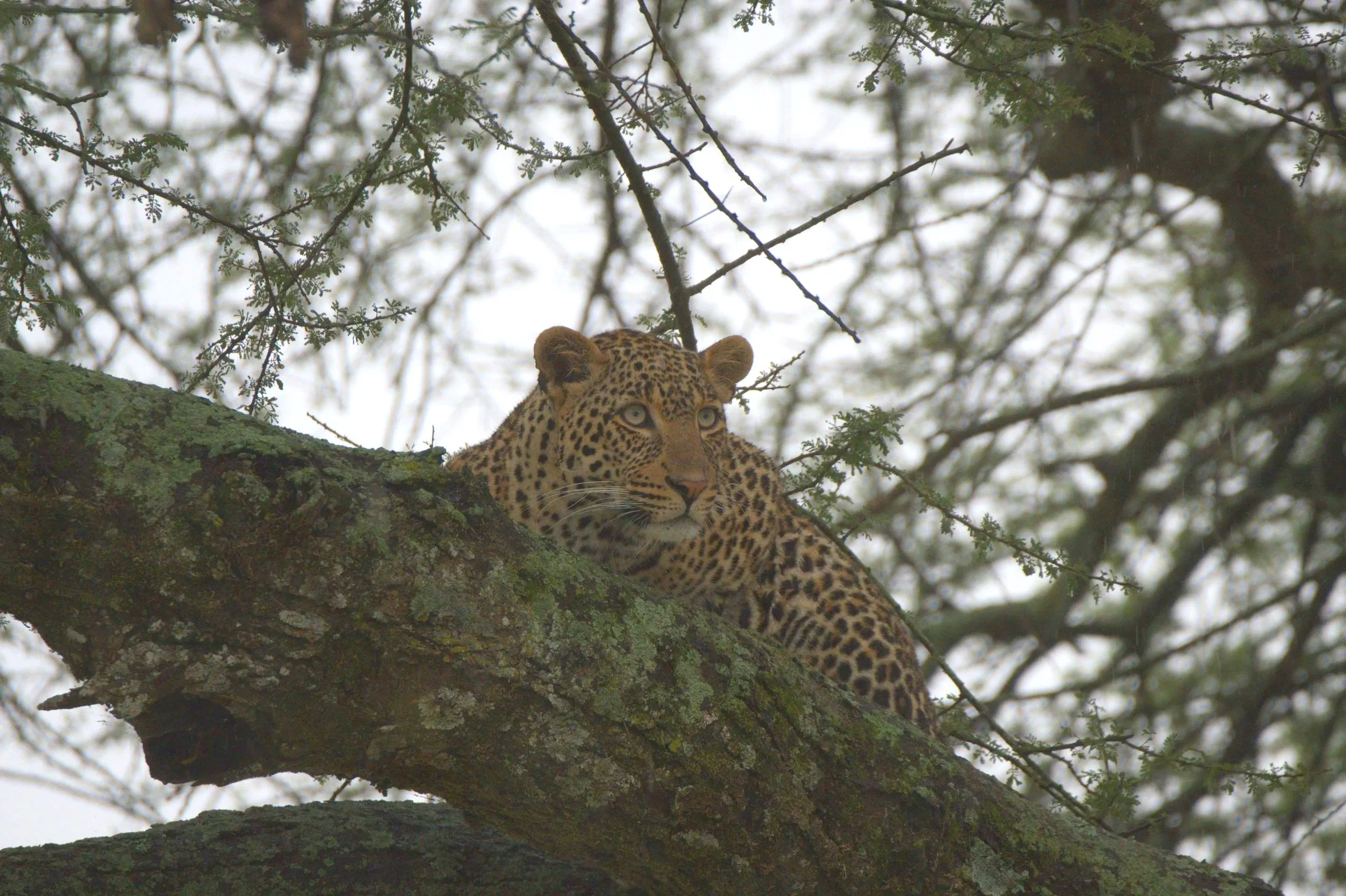 DSC_2048.jpg