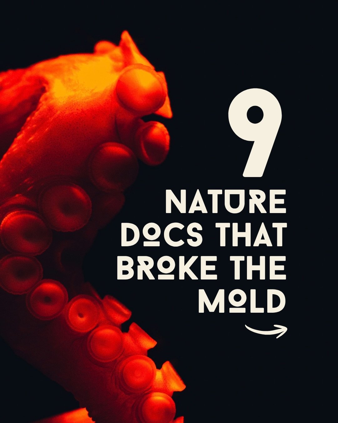 Nature documentaries have a formula, and these nine films threw it out.

For years the genre leaned on epic landscapes, rare animal behavior, and a creature on a long journey home. The films in this carousel borrowed from thrillers, romance, comedy, 