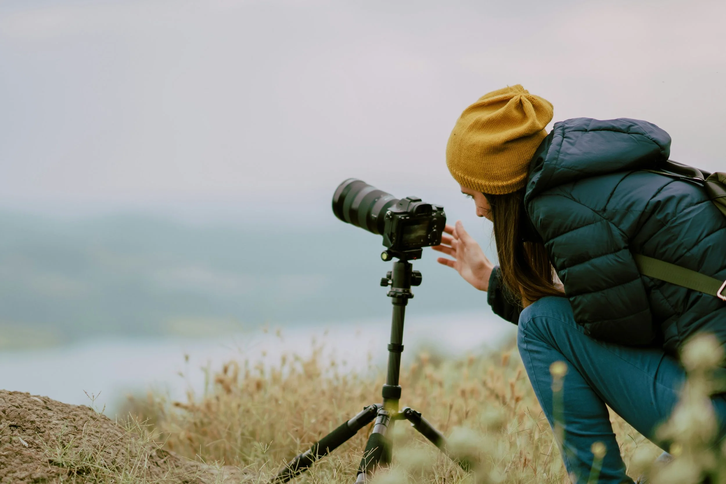 How to Produce & Distribute a Nature Documentary Independently — Wild ...