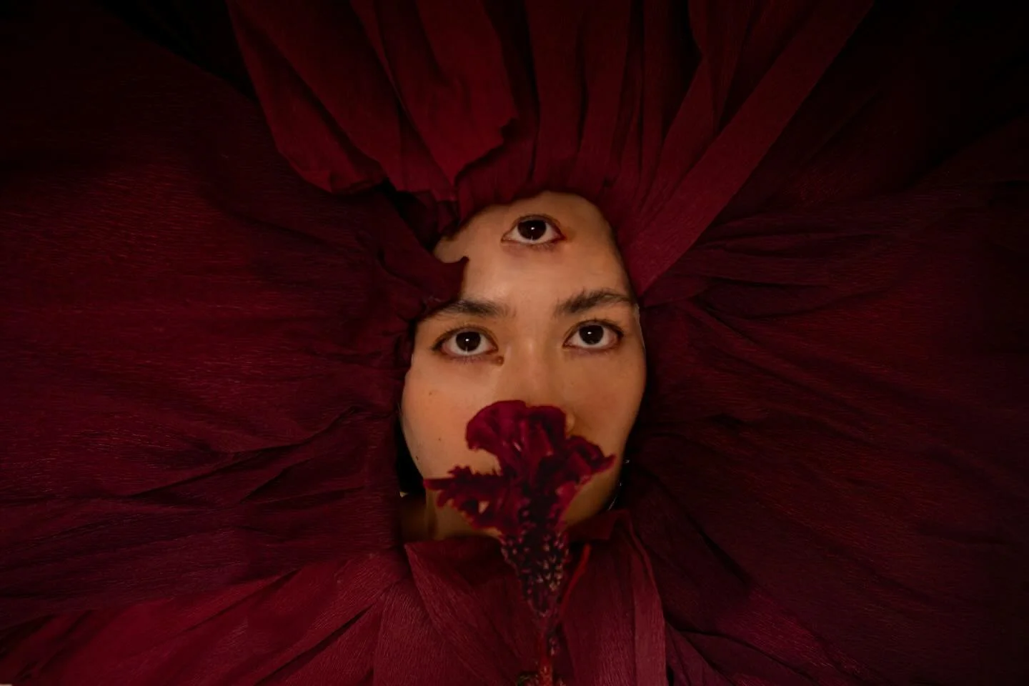 Third eye 

#photoshoot #editorial #fineartphotography #AI #religion #thrideye #portraitphotography #flowerphotography