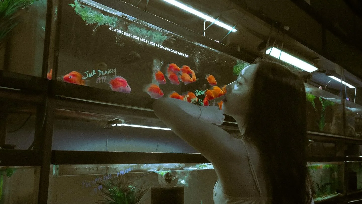 If this were a film: she dreams of being a goldfish, where every seven seconds the world begins again.