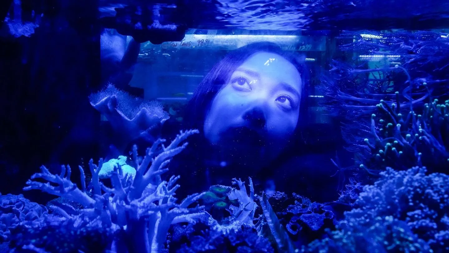 Somewhere between dreaming and drowning 

#filmphotography #photography #storytelling #photoshoot #underwater #wongkarwai #cinematicphotography #chinatown