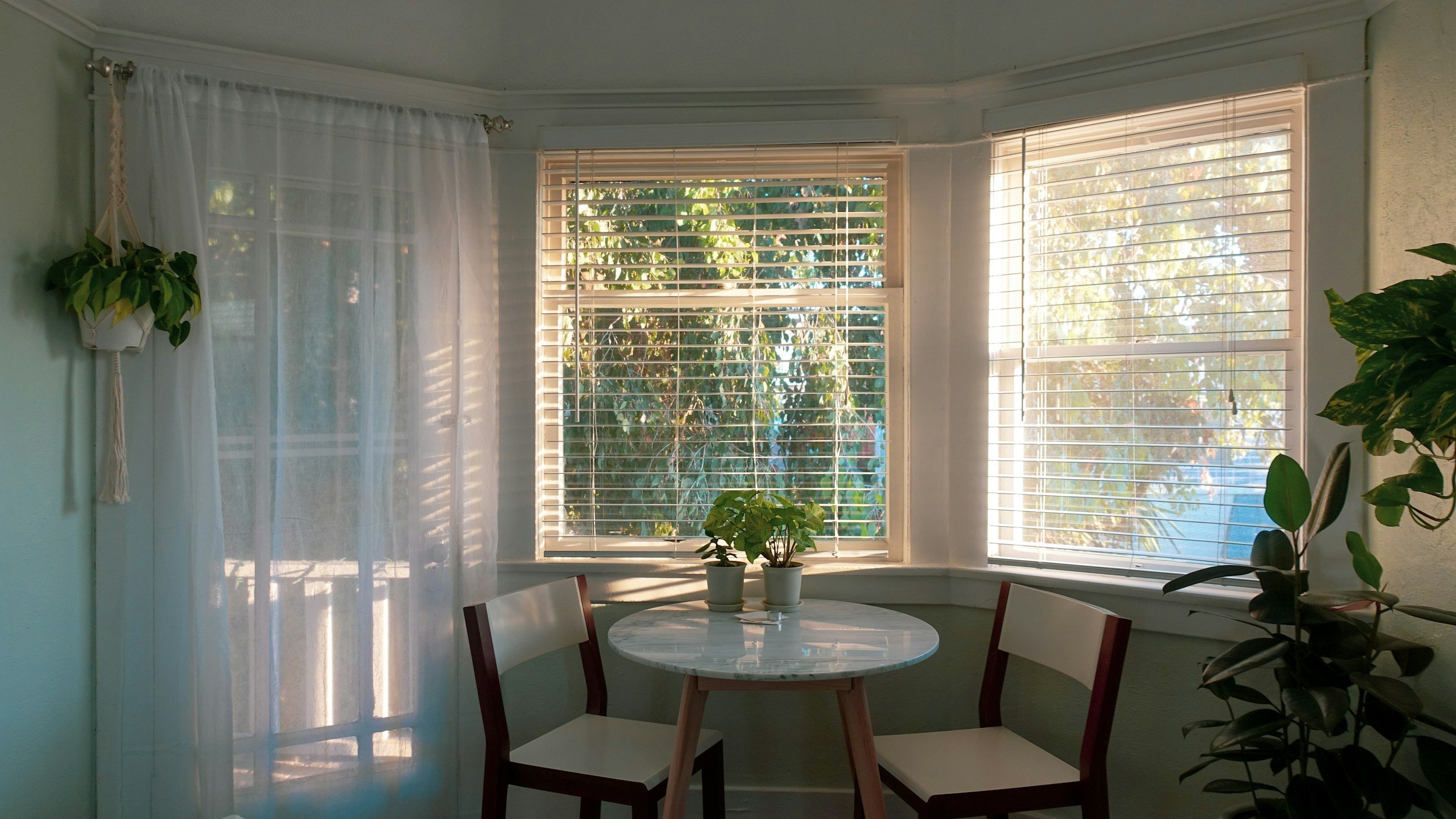 Sunlit dining nook with three potted plants on a round marble table, a large bay window with white blinds, and sheer curtains on the left side, with green walls and additional plants.