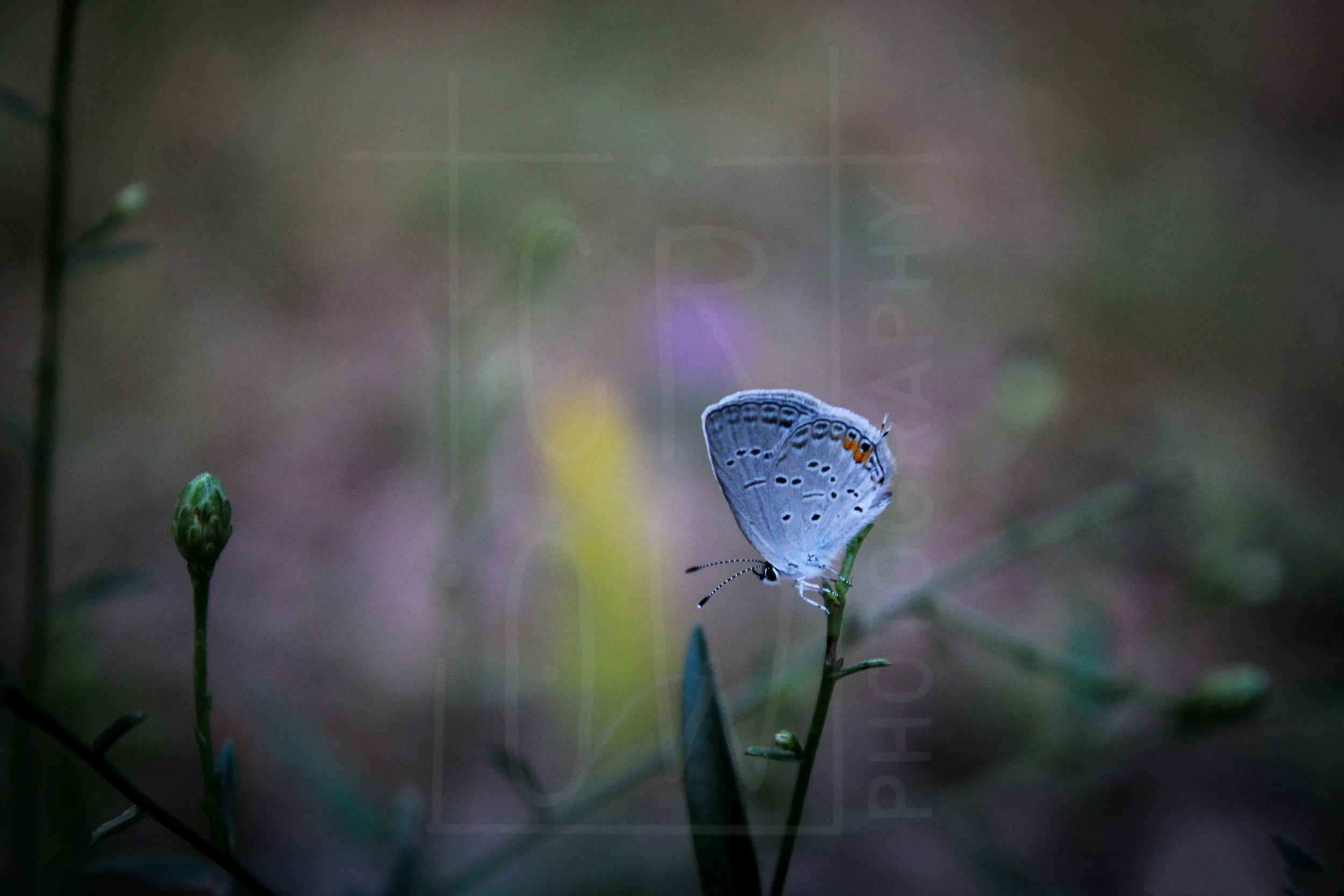 My Exhibition Photos