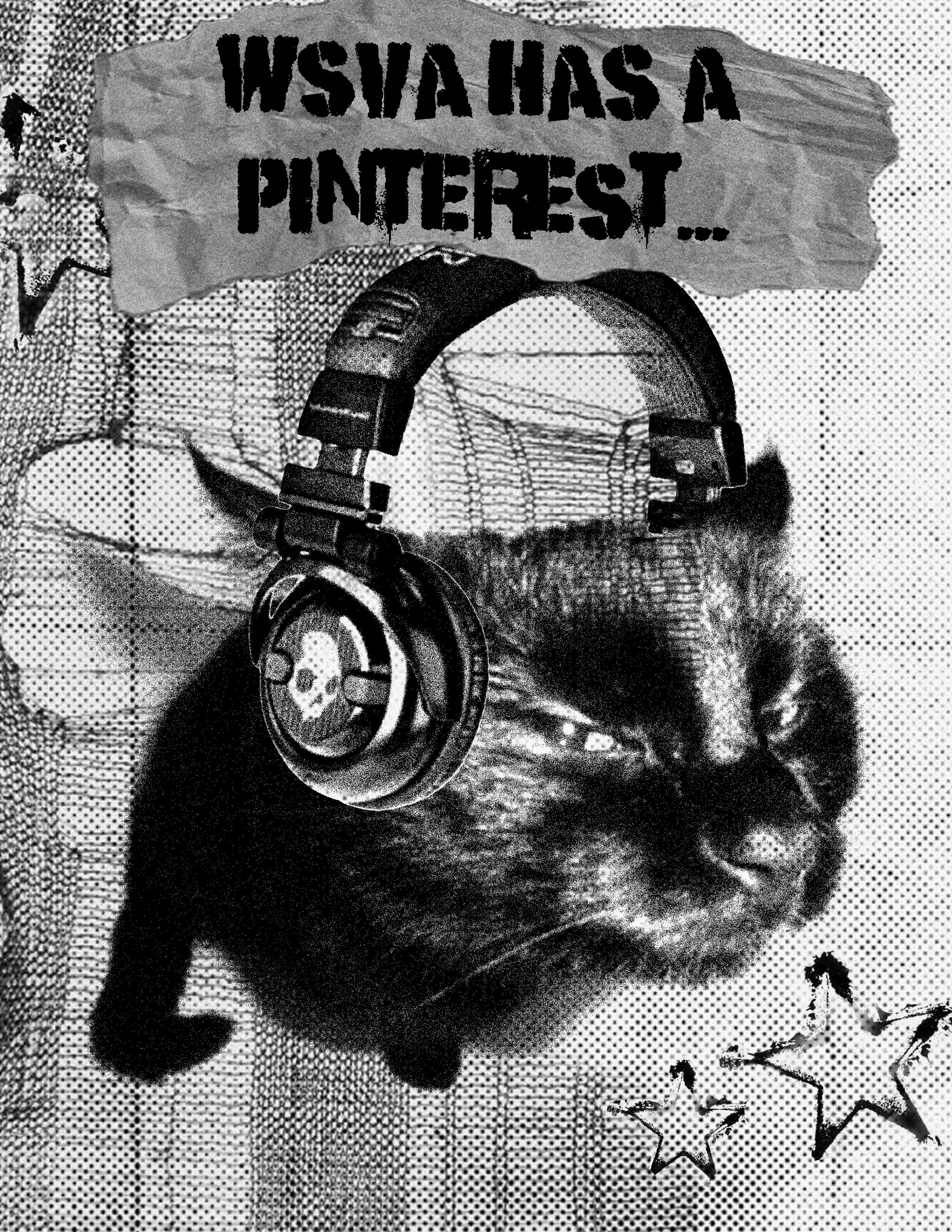 WSVA Pinterest Promotional Post