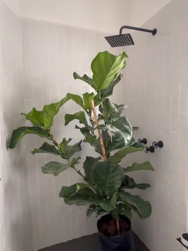 Convierte tu casa en un hogar