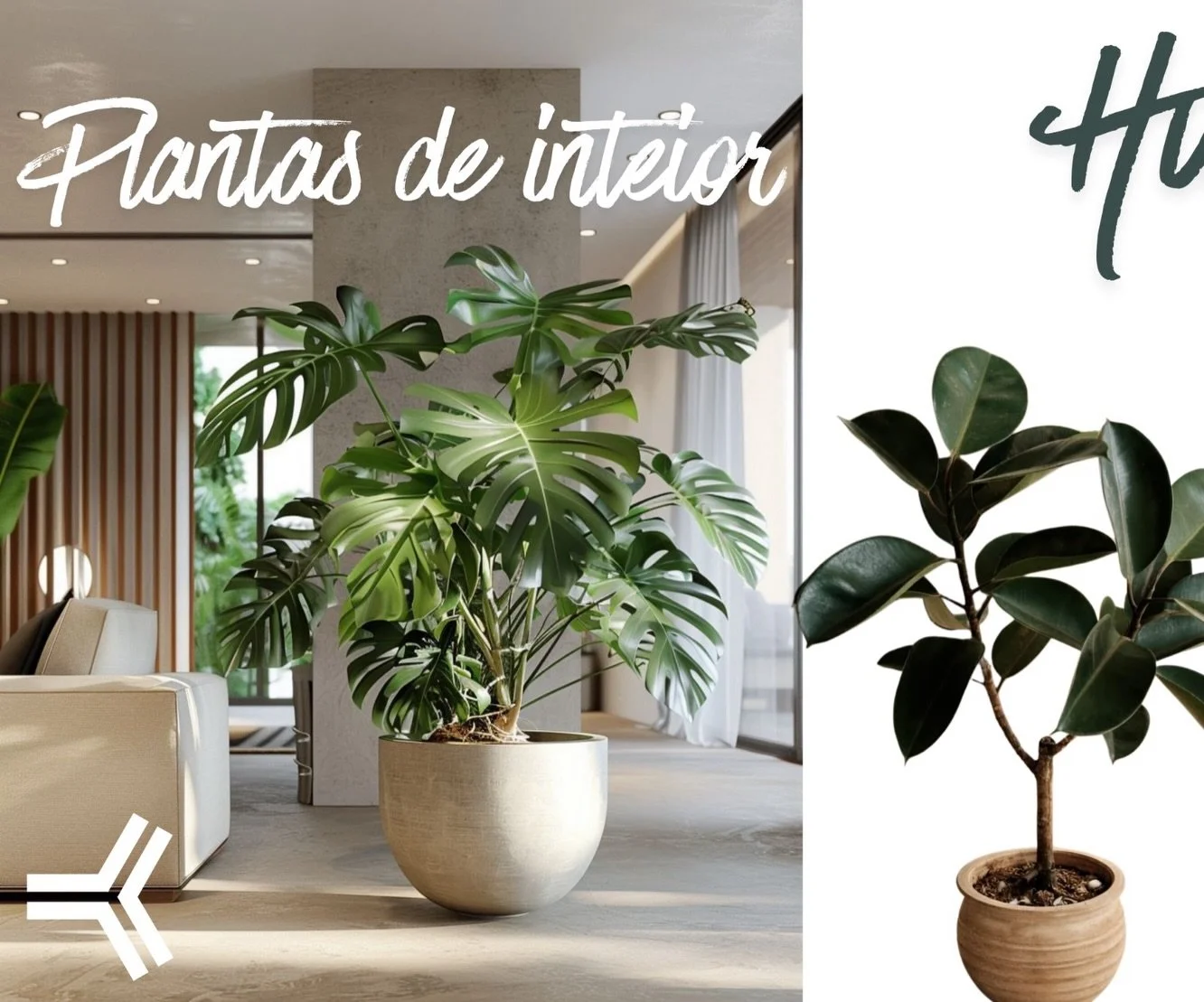 Las plantas de interior siempre suman vida, textura y frescura a cualquier espacio. 🌿

#Dise&ntilde;oInterior #Arquitectura #PlantasDeInterior #Interiorismo #Decoraci&oacute;n