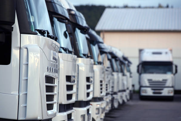 Line of white semi-truck tractors parked outdoors with a building and trees in the background.