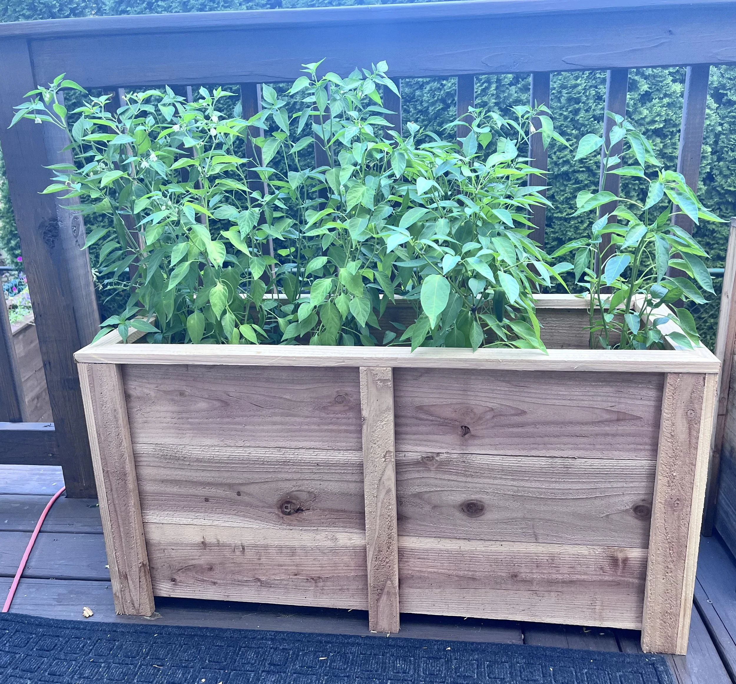 The Aberdeen - Made to Order