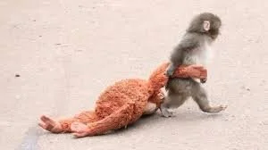 Learn Japanese with Punch