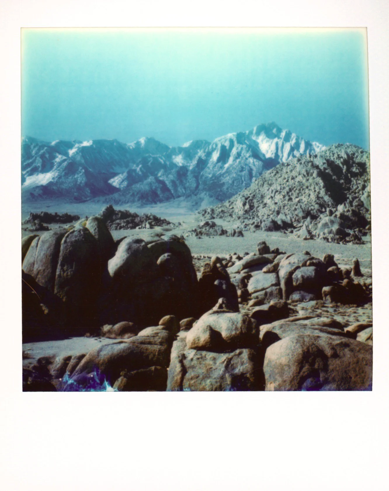 Screen Shot 2022-02-04 at 8.40.01 PM.jpg