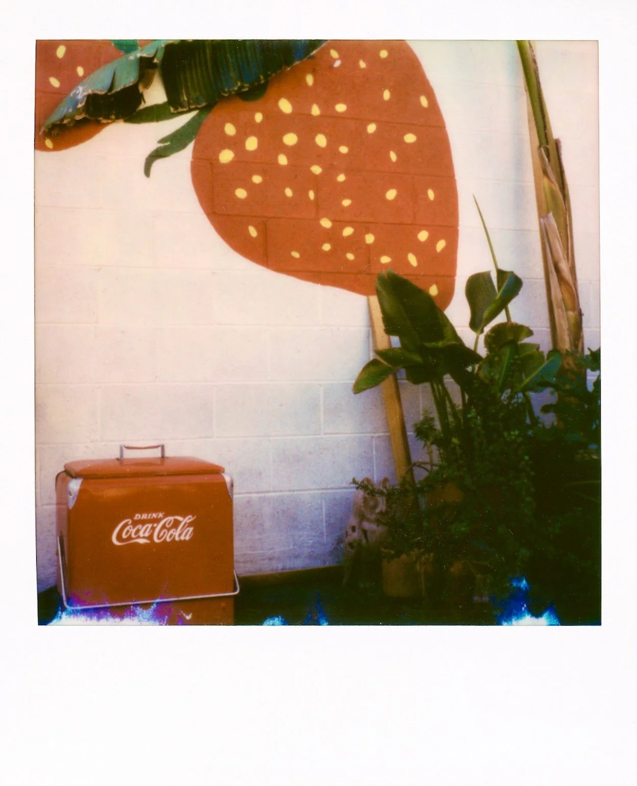 Screen Shot 2022-04-06 at 1.04.08 PM.jpg